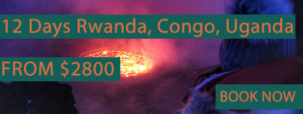 12 Days Best of Rwanda, Congo and Uganda safari adventure