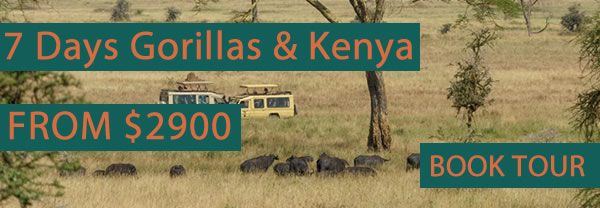 7 Days Kenya Masai Mara Safari and gorilla trekking bwindi forest