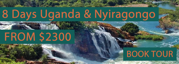 8 Days Murchison falls Tour & Hiking mount Nyiragongo Congo safari