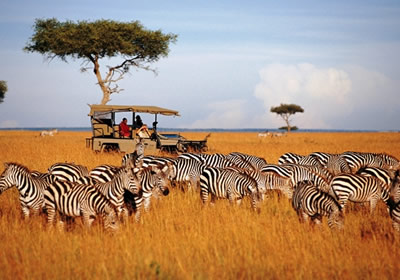 masai mara kenya safari