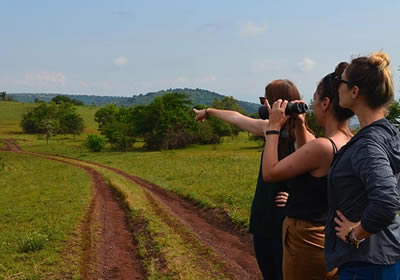 uganda safari adventure