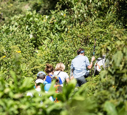 hiking and trekking trails in Bwindi national park