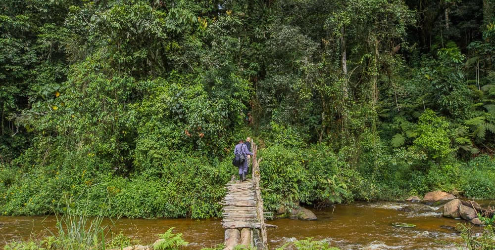 bwindi national park hiking trails