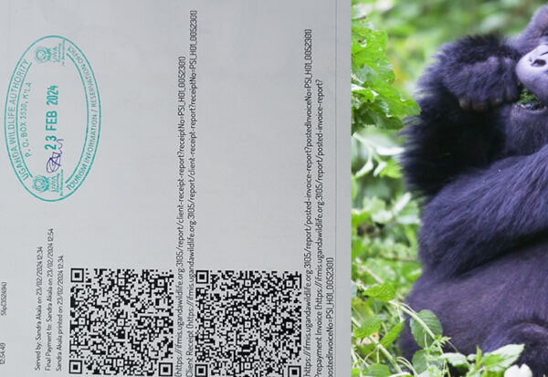 Uganda gorilla permit