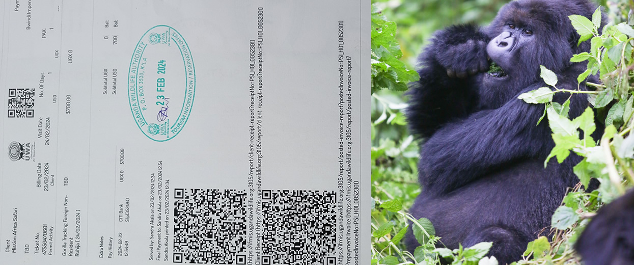 Uganda gorilla permit