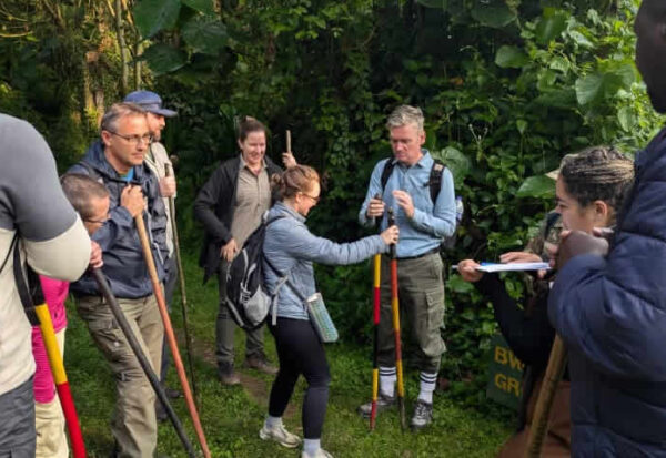 gorilla trekking for elderly