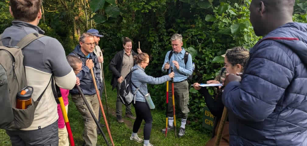 gorilla trekking for elderly